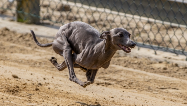 Ostermontags-Training am 06.04.2026
